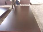 Construction Brown Film Faced Plywood Customized Thickness First Class