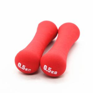 Quality 0.5kg 0.75kg 1.0kg Bone Shaped Impregnated Women'S Slim Arm Wrapped Rubber Dumbbells wholesale