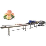 Hot selling Fruit Vegetable Bubble Washing Machine Suppliers by Huafood
