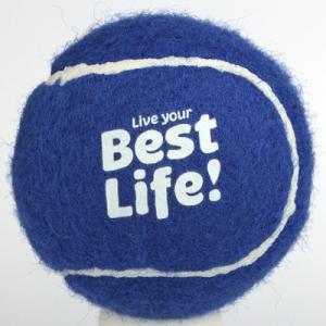 Quality dog tennis ball wholesale