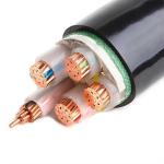 16mm2 25mm2 35mm2 95mm2 Single Muti Core Armoured PVC XLPE Insulation Electric