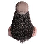Water Wave 5x5 Lace Closure Wig transparent Lace Frontal Human Hair Wigs