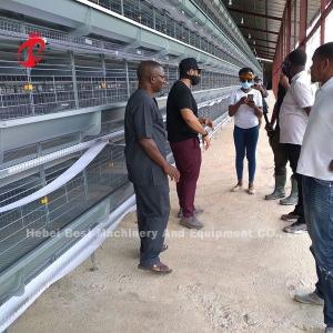 Quality A H Type Adult Commercial Chicken Battery Cages For Laying Hens Star wholesale