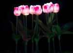 PU Tulip Lam​p LED Landscape Lamp Lawn Lamp Garden Park Greening Grassland