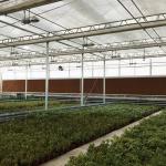 Commercial Polycarbonate Greenhouse for Versatile Vegetable Fruit and Flower