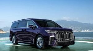 Quality 30kW Luxury EV Car Carbon Version VOYAH Dreamer MPV Seven seaters wholesale
