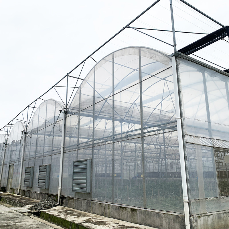 Multi-span Agricultural Poly Tunnel Plastic Greenhouse with Steel Tructure and Irragation System