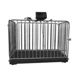 Quality 220V AC 9V DC Livestock Weighing Scales 500KG Capacity Electronic Easy Operation wholesale