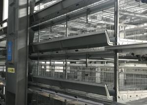 Quality Professional Automatic Poultry Feeder System Chicken Feeder Equipment wholesale