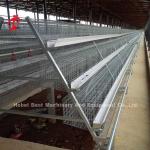 Ladder Type Chicken 2.4mm Automatic Battery Cage System In Poultry Emily