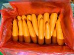 4 KG Natural Carrots Fresh Vegetables Umbelliferous Vegetabless