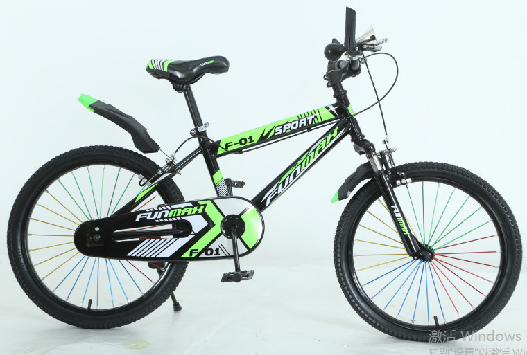 Customizable 20 Inch Kids Bicycle Big Boy Adult Road Bike Eco Friendly