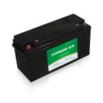 24V100AH Rechargeable Lithium Battery Pack Light Weight , Lifepo4 Battery Pack