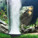 Nano Hygger Aquarium Air Stone