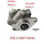 Hot Selling Top Quality Power Steering Pump For FORD Truck