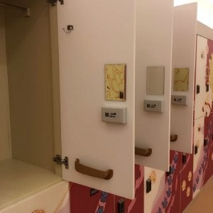 SPA IOT Locker 6 Comparts 3 Column Double Tier Lockers With Print Picture Door