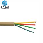 450/750v Durable Silicone Insulated Wire With High Electric Strength