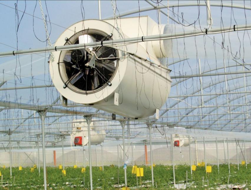 Cheap Commercial Planting Sunlight Greenhouse for Vegetables