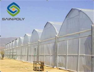 Quality Hot Galvanized Steel 8m Polyethylene Film Greenhouse wholesale