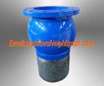 10 inch 10K ductile iron flanged foot valve