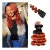 Buy cheap Ombre Hair Bundles Lace Closure Professional 1B/350 Two Tone Golden Blonde from wholesalers