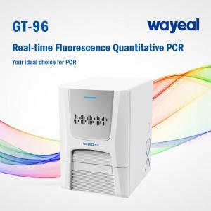 Quality Wayeal Clinical Medical Real Time Pcr Analyzer For Nucleic Acids Testing wholesale