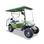 4-seater Electric golf cart 2+2 10 inch tyre 3.5kw leat acid battery