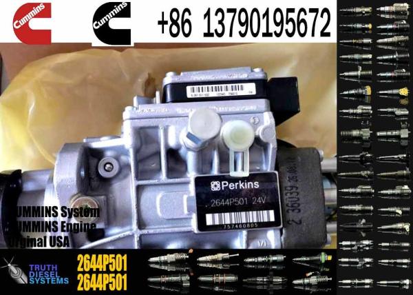 3056E Fuel Injection Pump 2169824 216-9824 2644P501 2644P501R 0470006003