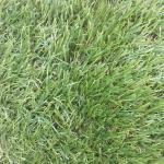 Anti Pet Friendly Fake Lawn / Dog Friendly Turf