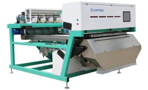 Quality Single Layer Belt Sorting Machine Pepper Chili Color Sorter High Accuracy wholesale