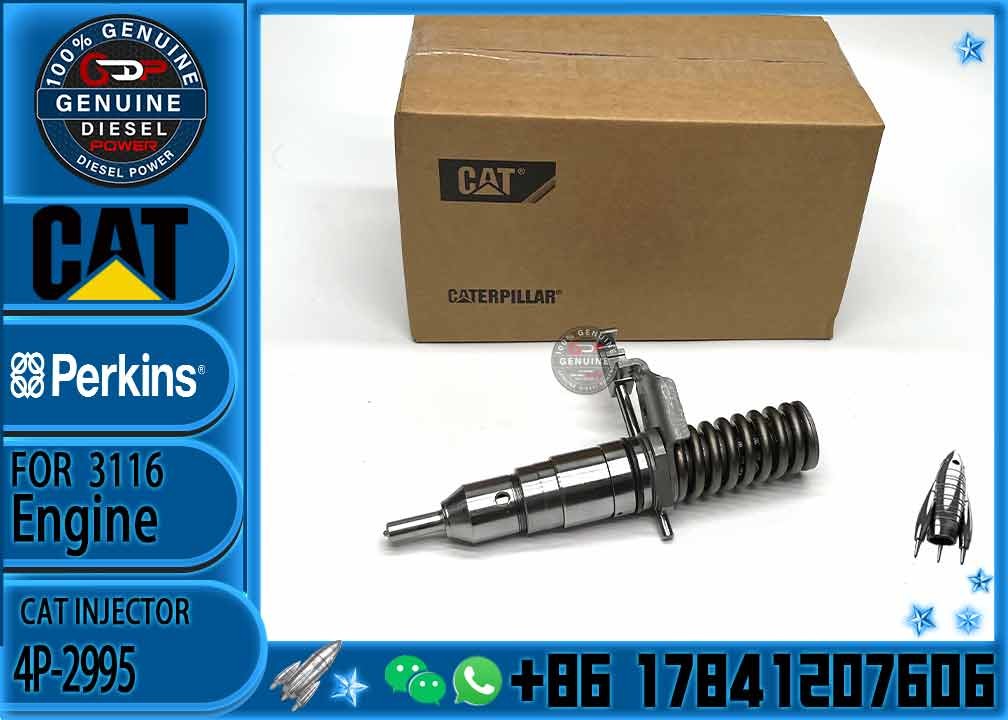 3116 Engine Fuel Injector 4P-2995 162-0212 162-0218 418-8820 0R-8461 0R-8469 0R-8465