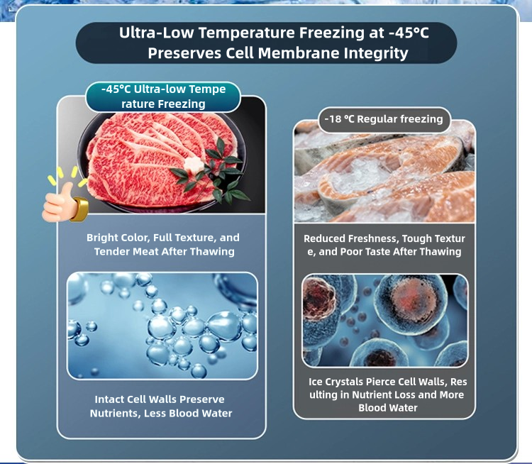 -45--105C Ultra-Low Temperature Freezer for Tuna Preservation in Multi-climate Environment