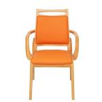 Simple Modern Solid Wood Dining Chair Home Soft Bag Cushioned