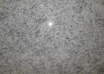 White Bianco Romano Granite Countertops , Solid Granite Bath Countertops