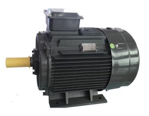 Quality AC Asynchronous Inverter Motors General Purpose wholesale