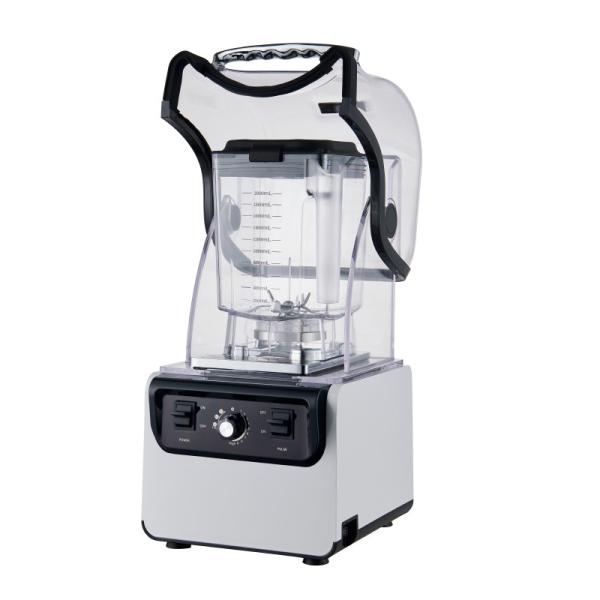 Stainless Steel Blade 2L Industrial Smoothie Blender for Heavy Duty Commercial