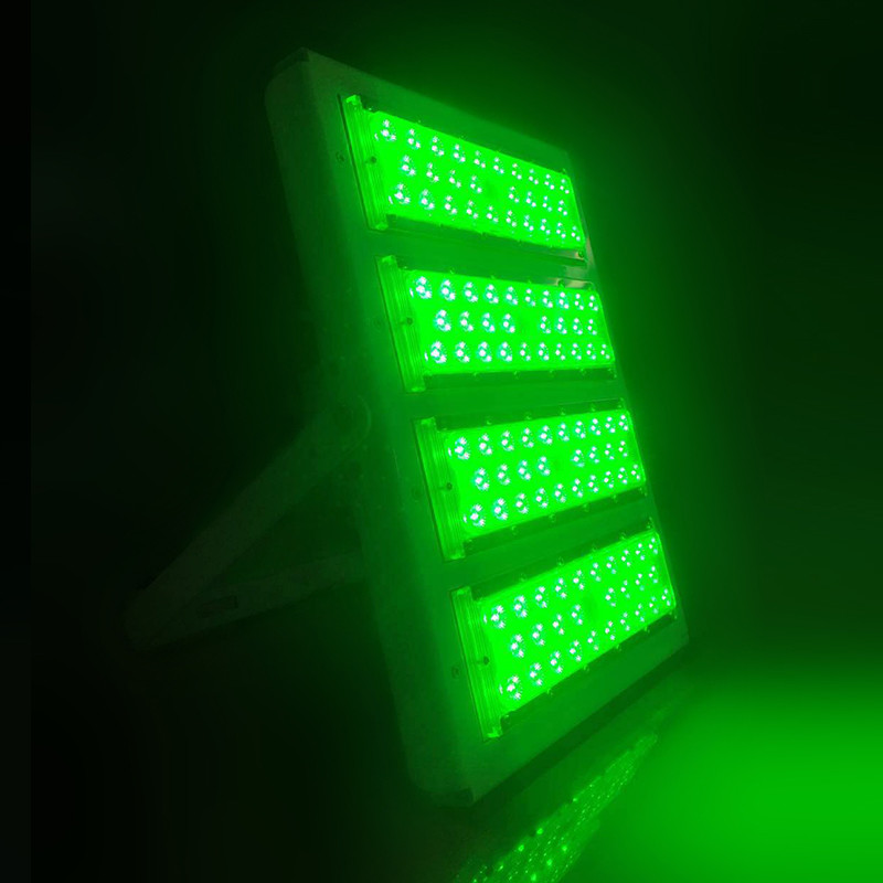 High Efficiency 50Watt RGB LED Flood Light DMX512 Signal LED Flood Lamp