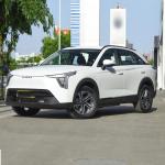 Compact SUV Gasoline Hybrid Cars Havelong 2023 1.5L 110km