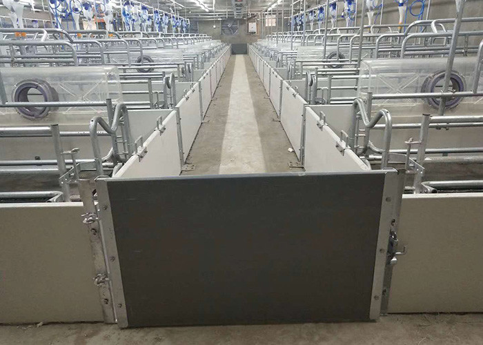 PVC Board Gestating Pig Farrowing Pen 2.5mm Thickness With BMC Slat