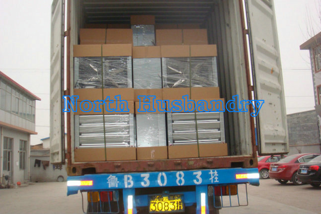 Saudi Arabia Best Swung drop hammer exhaust fan cheap poultry fan