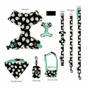 Quality Velvet Walking Cat Harness Vest wholesale