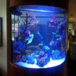 Custom 100% Virgin Mitsubishi MMA Cast Clear Aquarium Acrylic Sheet
