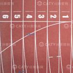 IAAF Sandwich System Semi-prefabricated Running Track Athletic Track and Field