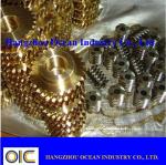 Worm Gears and Pinions