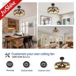 20 Inches Farmhouse Caged Bladeless Ceiling Fan With Light