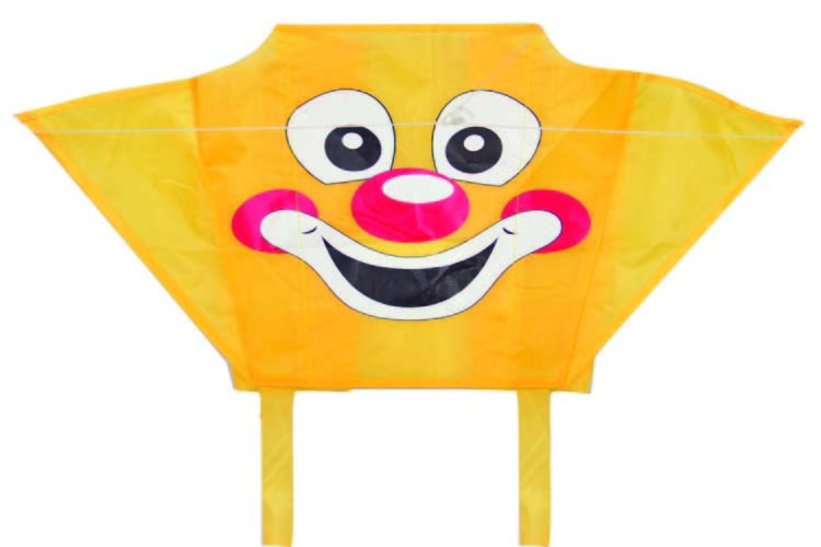 46*32CM Nylon Kites , Single Line Type Small Parafoil Kite Customized Logo