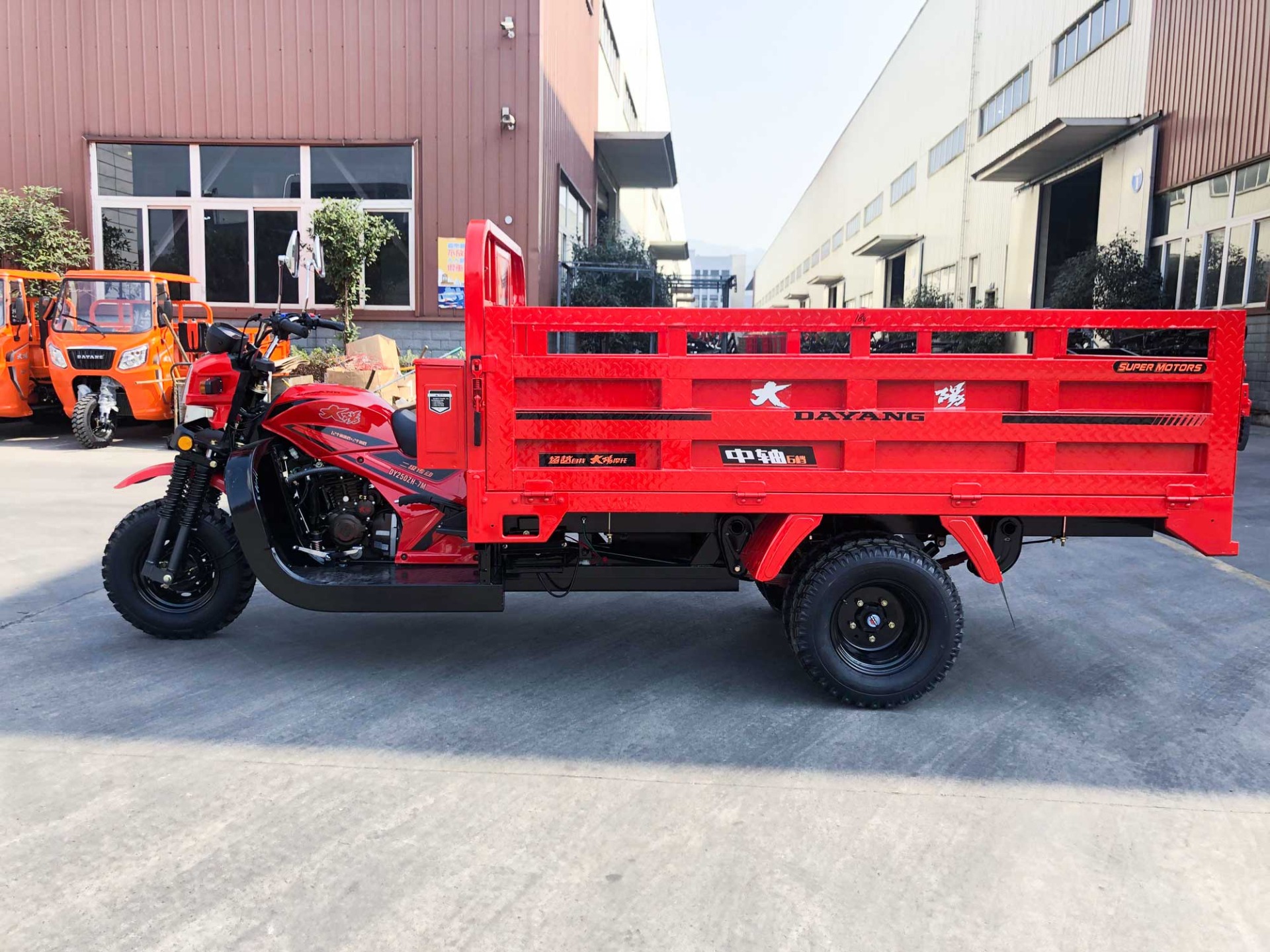 DAYANG 300cc Motorcycle Tricycle 5 3 Rear Spring Leafs Open Body Type Red Cargo Adult