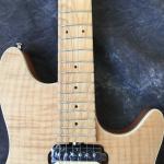 EVH Wolfgang Edward Van Halen Guitars quilted vibrato Floyd Rose Electric