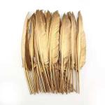 20-25 Cm Gold Dyed Turkey Feathers Quill Perfect For Festival Decoration
