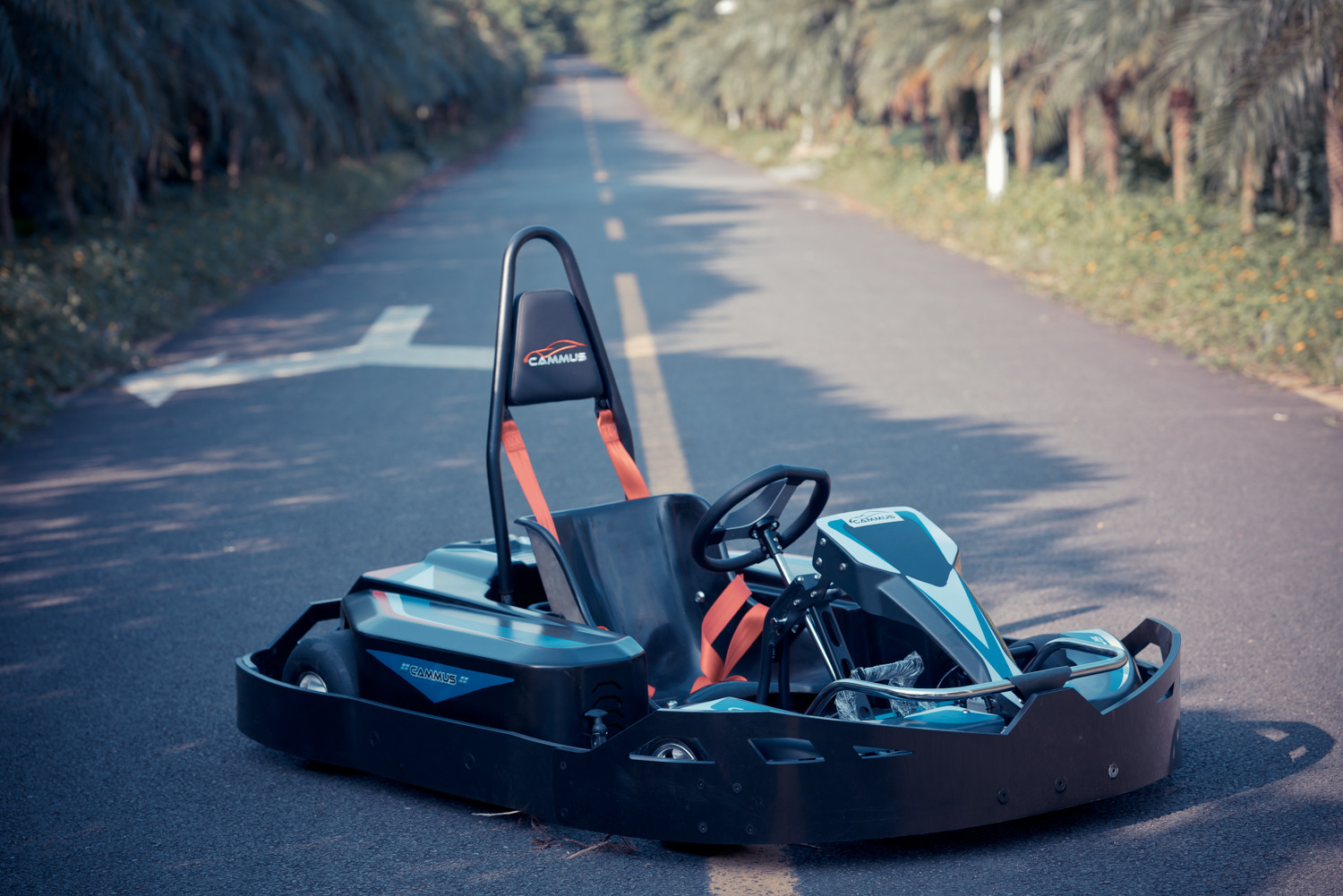 165Kg Sport Go Kart 48V 2H Charging Battery Powered Go Kart